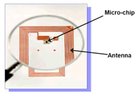 A Typical RFID Tag